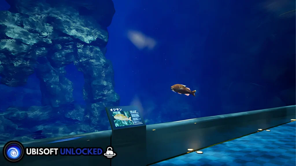 Aquarium at August 32nd Download